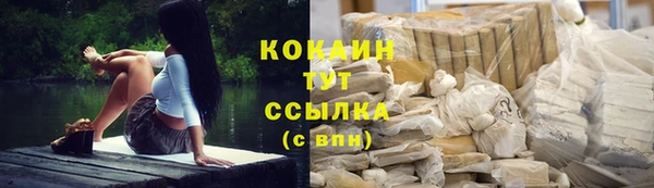 спиды Зеленокумск
