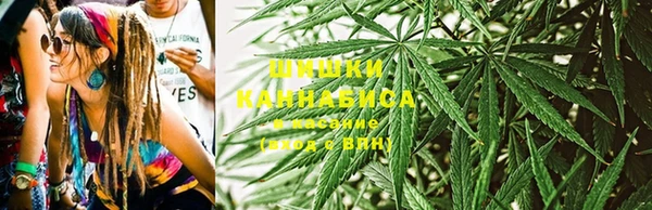 прущие крисы Зеленодольск