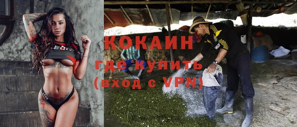 спиды Зеленокумск