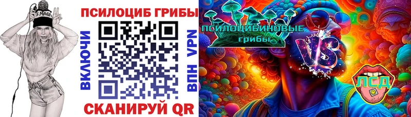 Псилоцибиновые грибы мицелий  Купить где  Енисейск 