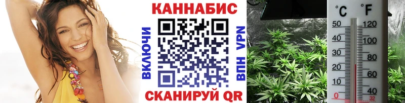 Канабис сатива  Купить закладки  Енисейск 
